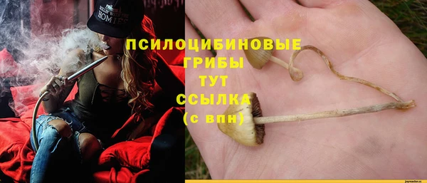 spice Балабаново