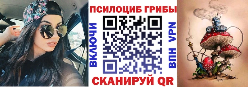 Галлюциногенные грибы Psilocybe  где продают наркотики  Астрахань 